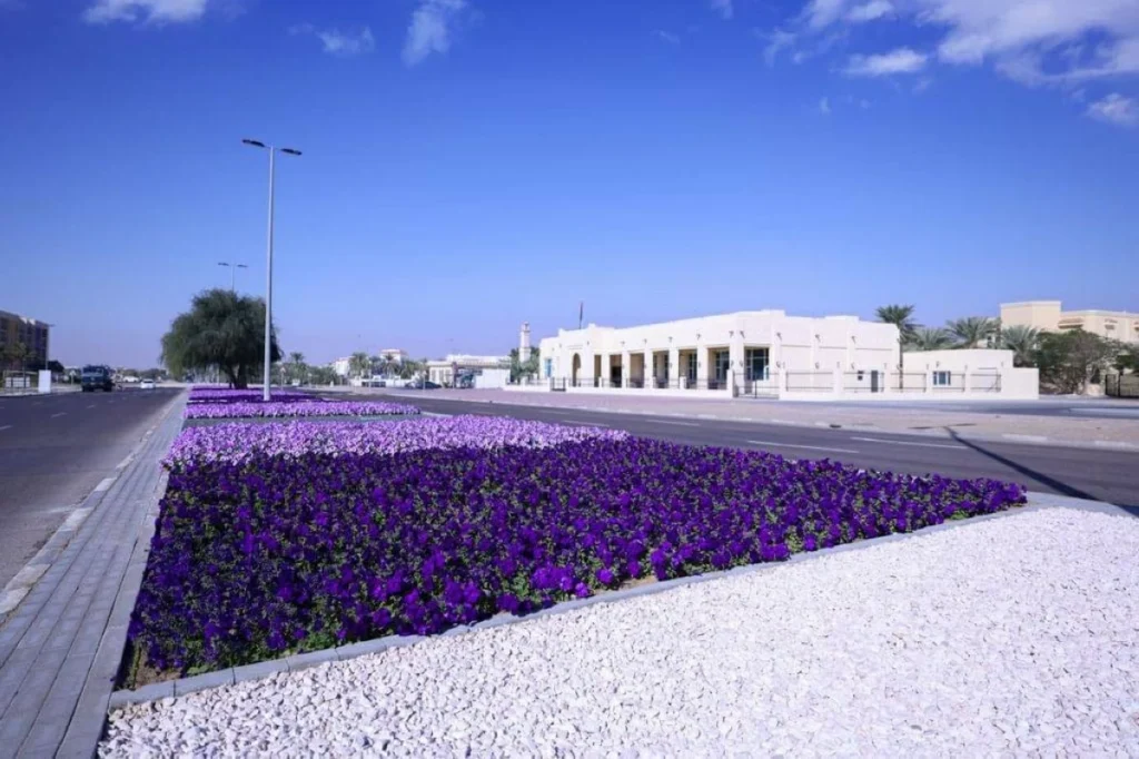 في لوحة جمالية متجددة.. العين تزدان بـ 99 مليون زهرة سنوياً